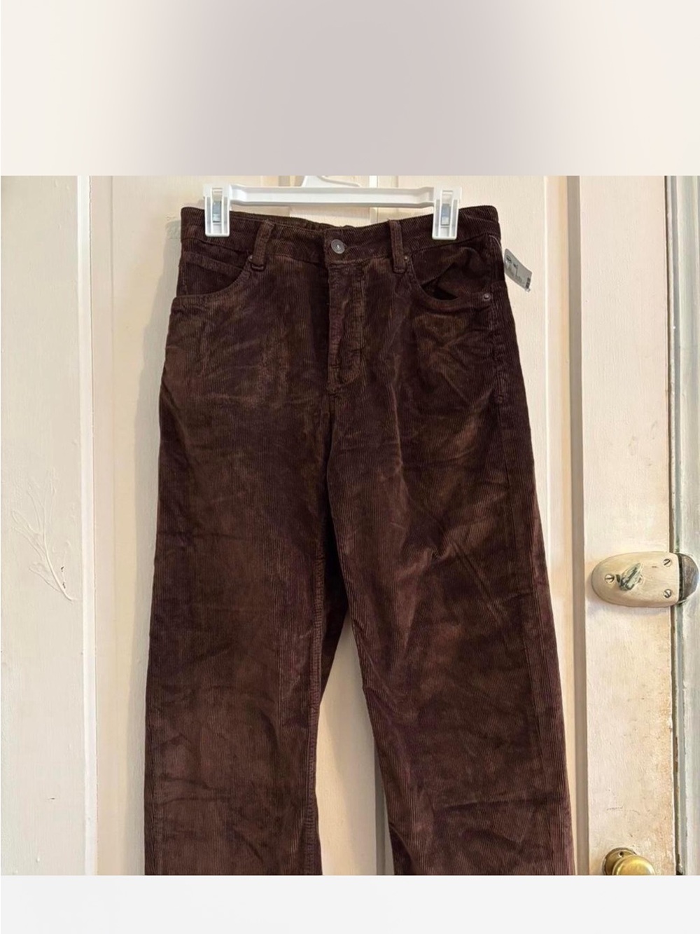 Free People Chocolate Brown Corduroy Cropped Pants